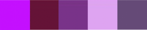 Purple Mix 50g